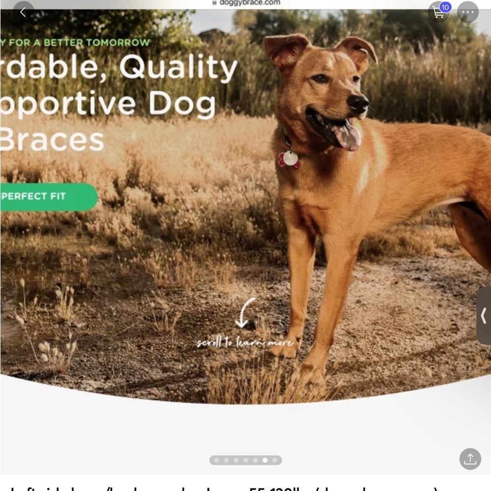 I have this listed in multiple places. Thanks for looking.